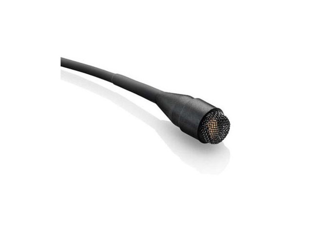 Mygga mikrofon engelska Mygga mikrofon engelska