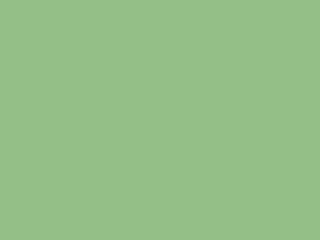 Manfrotto Bakgrund Chromakey grön 9073,  2,72 x 11m