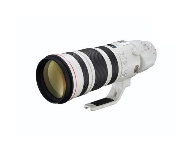 Canon EF 200-400mm f/4L IS USM Extender 1,4x